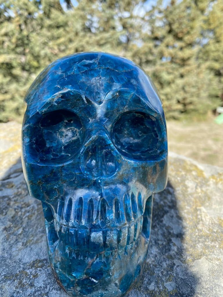 Crâne en apatite bleue qualité extra