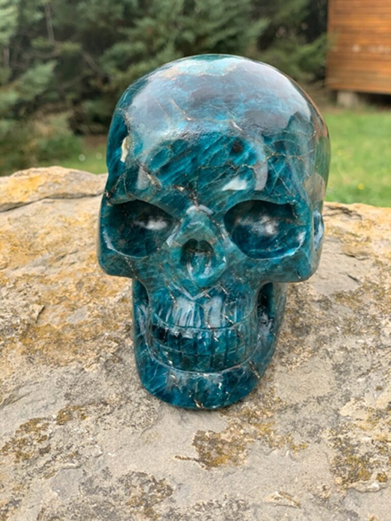 Extra Quality Apatite Skull