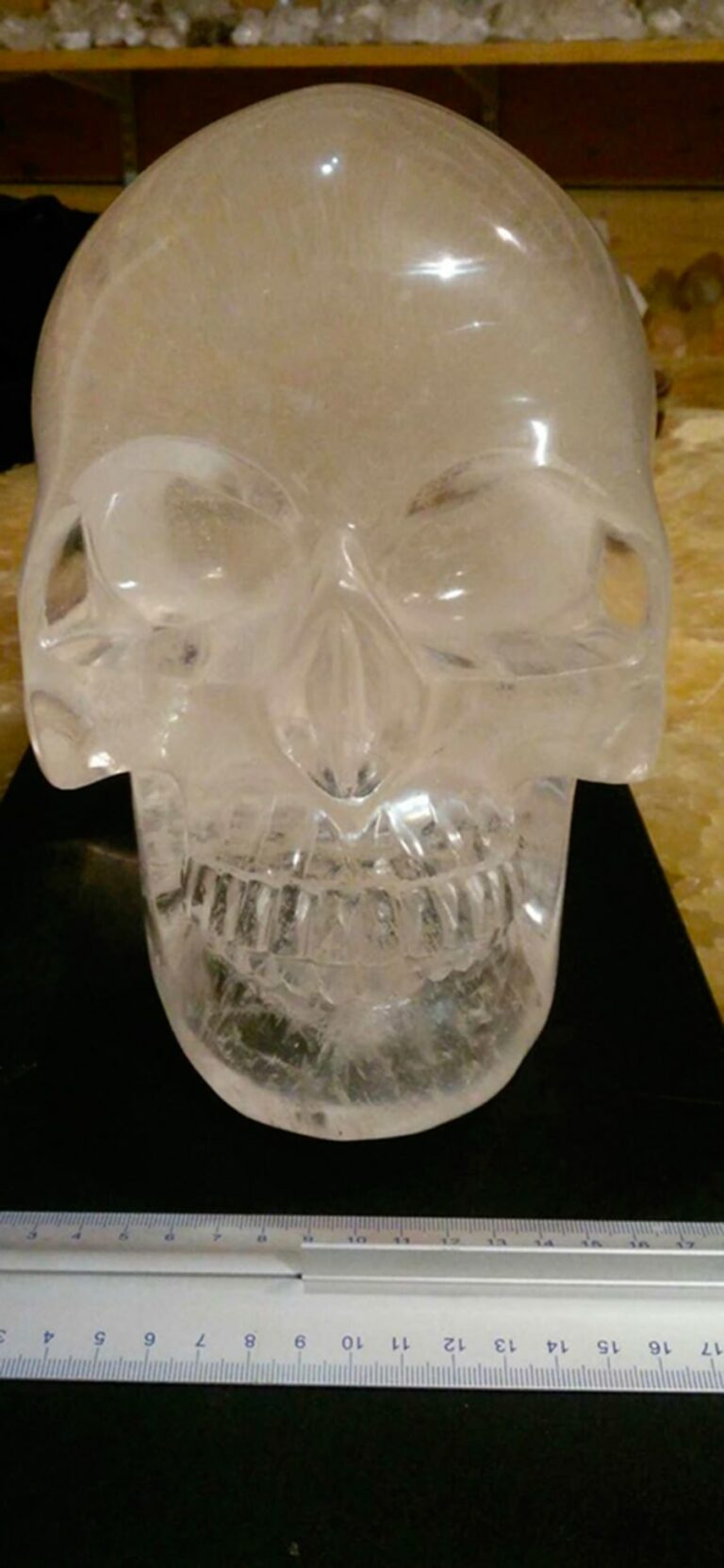 Majestic Himalayan skull with millennial water drop